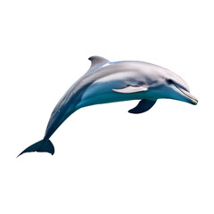 Obraz premium dolphin leaping isolated on transparent background