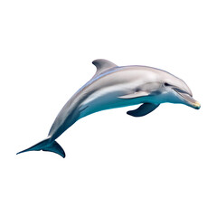 dolphin leaping isolated on transparent background