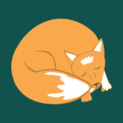 Cute sleeping fox. Cartoon childish isolated graphic. Vector hand drawn illustration