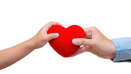 adult hand and a child's hand holding a red heart together cut out transparent isolated on white background PNG