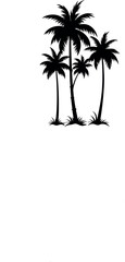 palm tree silhouette