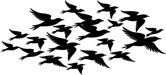 A group of birds flying in the sky
