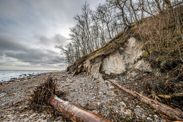 Bäume an der malerischen Steilküste bei Katharinenhof auf der Ostseeinsel Fehmarn nach dem Sturm, im Herbst 2023