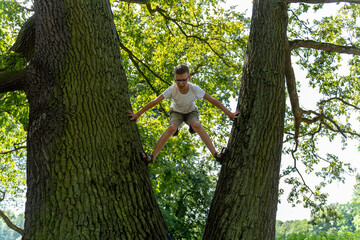Teenager in shorts and T-shirt climbing trees in a park on a sunny summer day. Concept of active recreation in nature, motor activity and sports. High quality photo