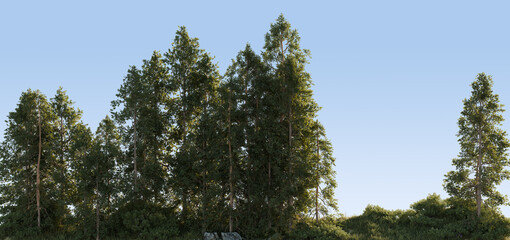 Green Forest Trees Against Clear Blue Sky
