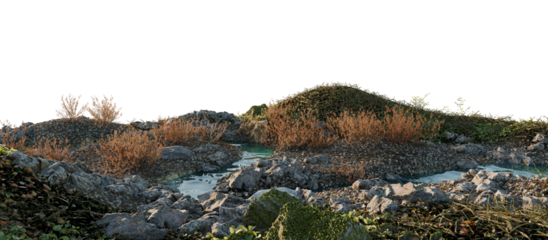 Panoramic View of Rocky Landscape with Dry Bushes