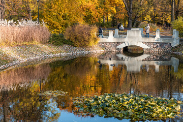 view to a pond with bridge in a park surrounded by trees in autumn colorful foliage on sunny day