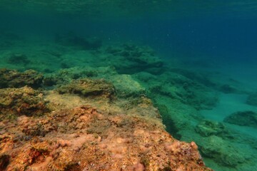 School of small swimming fish and underwater seascape with colorful stones. Blue green sea with marine life, underwater photography from snorkeling. Ocean, fish and rocks, travel picture.