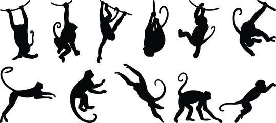 Monkeys vector, Monkeys siluet, monkeys style, set monkeys
