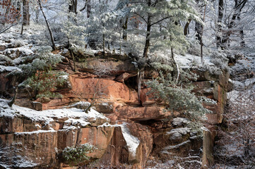 Rock wall and trees with snow in winter