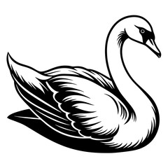 Mute swan vector silhouette 