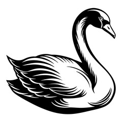 Mute swan vector silhouette 