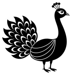  Vector illustration of a beautiful peacock