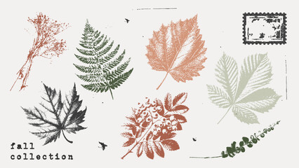 Autumn leaves and herbarium plant set with grainy photocopy effect. Grunge fall collection stippling. Vector illustration