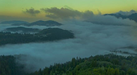 Fototapeta premium A landscape of rolling hills covered in dense forests, with a layer of fog settled in the valleys between the hills