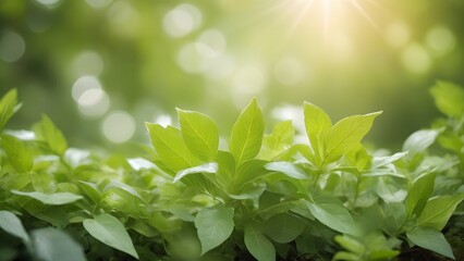 Beautiful natural spring summer defocused background with fresh lush foliage and bokeh in nature.
