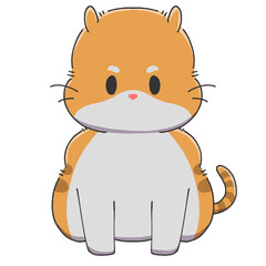 white orange cat 2