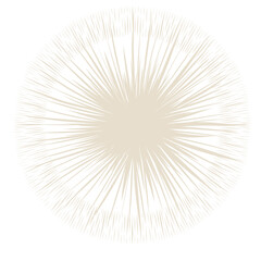 illustration set of moon phases. Different stages of moonlight activity in vintage engraving style. Zodiac Signs	