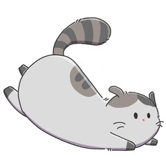 grey white cat 3