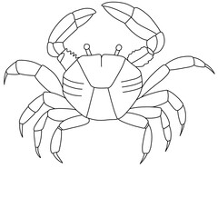 illustration set of moon phases. Different stages of moonlight activity in vintage engraving style. Zodiac Signs	