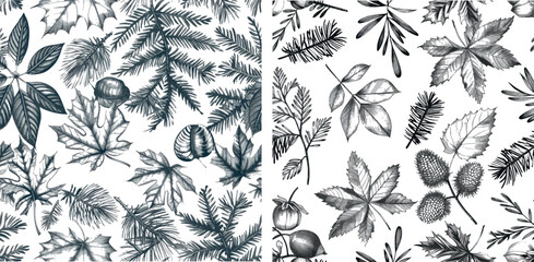 Hand drawn engraved autumn leaves. Acorns, leaves, and spruce needles. Seamless pattern for textiles, gift wrapping, and scrapbooking.