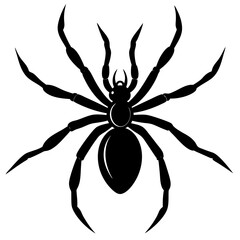 realistic spider silhouette vector art illustration