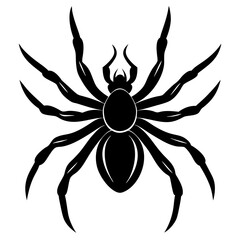 realistic spider silhouette vector art illustration
