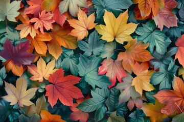 Fototapeta premium multicolored autumn leaves lying on the floor