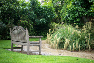 view of wooden bench in a tropical garden