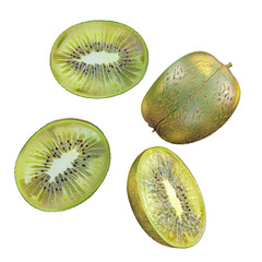 Fototapeta premium Kiwi fruit whole and sliced arranged on a transparent background, viewed from above.