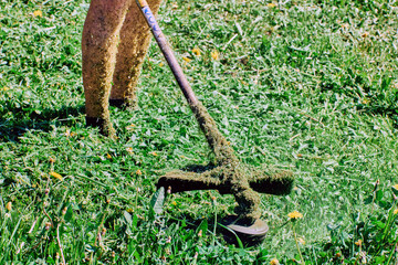 Lawn care expert aims rotating head of string trimmer at weeds.