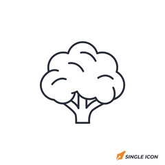 Cauliflower icon vector illustration. Cauliflower symbol isolated on white background