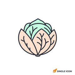 Cabbage icon vector illustration. Cabbage symbol isolated on white background