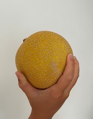 melon in hand