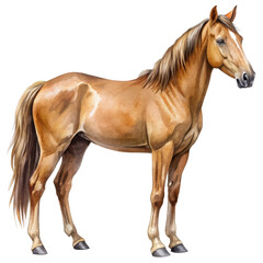 Obraz premium Watercolor clipart friendly horse, farm animal, soft brown, transparent background