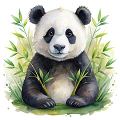 Watercolor clipart friendly panda, bamboo lover, black and white, transparent background