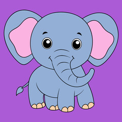 baby elephant