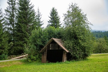 old ruined wooden shack on a field in an Austrian mountain region