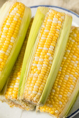 Multi Colored Sweet Corn on the Cob