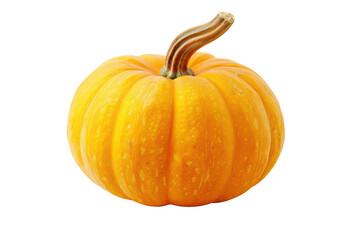 Obraz premium PNG Vibrant orange pumpkin with a textured surface, perfect for autumn decorations or Halloween themes.