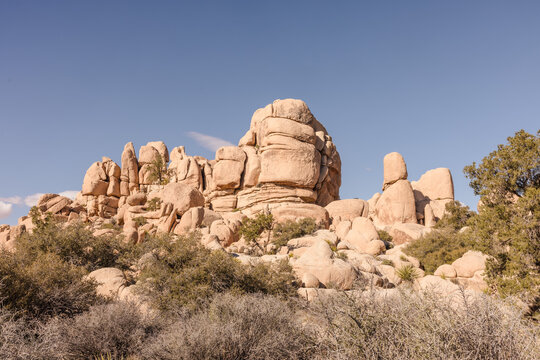 Joshua Tree Rocks in the Day Time
