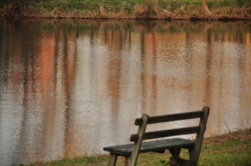 Fototapeta premium Bench next to pond, serene 