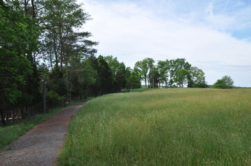 Footpath with curve