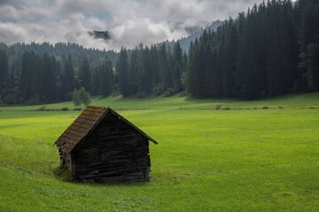 old ruined wooden shack on a field in an Austrian mountain region