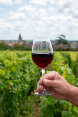 Drinking of red pinot noir wine on grand cru vineyards with cross and stone walls in Cote de nuits, making of famous red and white Burgundy wine in Burgundy region, Vosne-Romanee village