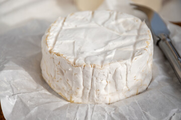 French soft Camembert cheese, original Camembert de Normandie made from raw cow milk