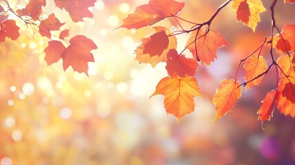 Fototapeta premium a close-up of tree branches with autumn leaves. The leaves are in various shades of red, orange, and yellow, indicating the fall season. The background is softly blurred with warm, glowing light