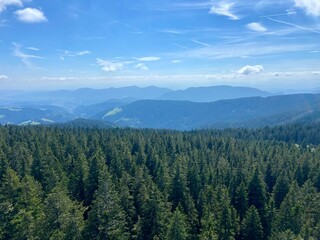 Panoramic View of Mountain Forests