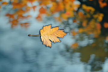 Floating autumn leaves, nature reflections, serene mood, seasonal beauty, perfect for marketing, home decor, educational materials, environmental themes.