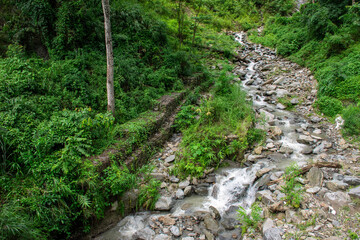 Greener Himalayas stream and rivulet of River Tista